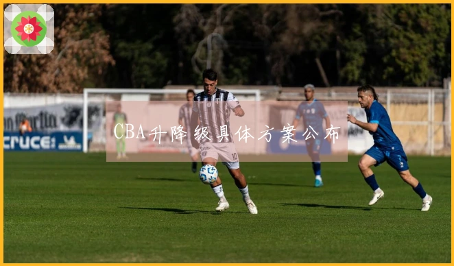 CBA升降级具体方案公布